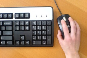 El mouse y el teclado son los dispositivos de entrada más comunes.