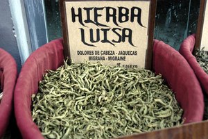 Hay aún un gran potencial en muchos componentes anti-arrugas por ser descubiertos.