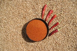 El chile en polvo está hecho del chile picante seco.