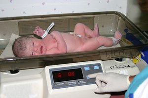 La etapa fetal culmina con el nacimiento del bebé.