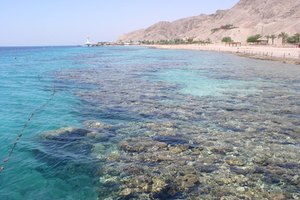 Las sales del Mar Muerto en Israel son famosas.