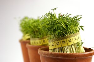 Comer sano puede afectar a tu peso corporal.