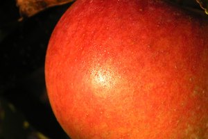 El vinagre de sidra de manzana tiene muchos usos.