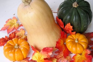 La calabaza bellota posee diversas formas y colores.
