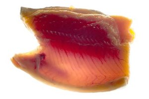 Salmón.