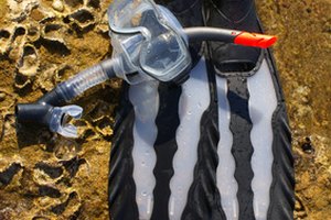 Limpia el equipo de snorkeling regularmente.