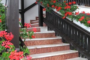Sube escaleras de manera intensa para quemar calorías y perder peso.