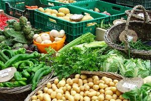Es imposible eliminar las purinas de una dieta.