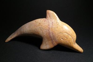 Las especies de delfines pueden variar su tamaño de 4 a 30 pies (1,2 a 9,1 m).