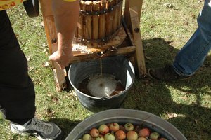 Sidra de manzana.