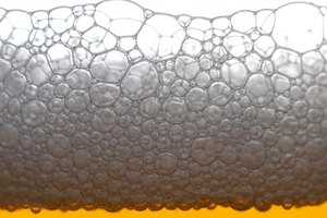 La saccharomyces cerevisiae es más conocida como levadura de pan o de cerveza.