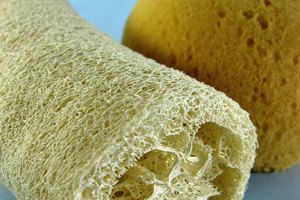 Una esponja vegetal puede ayudar a exfoliar tu piel.