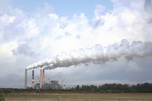 Las toxinas medioambientales podrían jugar un papel importante en el desarrollo de las MND.