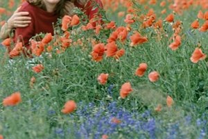 Después de la menopausia, los ovarios de una mujer ya no producen estrógeno, al menos no una cantidad significativa.