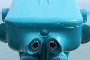 Muchos robots caseros están diseñados para el uso cosmético.