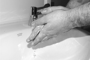 Lavarse las manos ayuda a disminuir la propagación de Salmonella typhi.