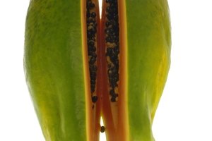 La papaya contiene un látex en el que se encuentra la papaína.
