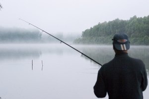 El salmón puede ser capturado desde la costa.