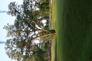 Los palos de golf híbridos son buenos para hacer disparos altos que aterrizan suavemente en objetivos lejanos.