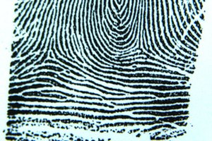 Una huella digital única de inicio en tu computadora incrementará la seguridad.