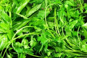 Aprende sobre los beneficios del extracto de konjac.