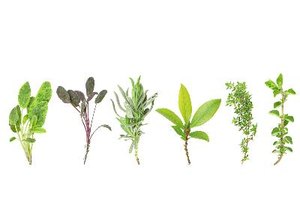 Alivia tu dolor de garganta con remedios naturales.