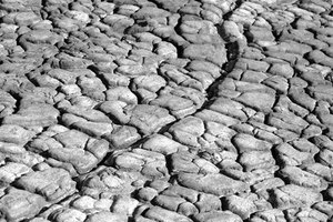 Las hierbas que se usan para remover y reducir las arrugas que se generan por este daño en la piel contienen componentes poderosos de plantas.