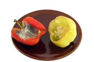 Es recomendable desechar los alimentos blandos con moho.