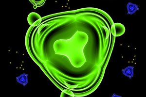 Cómo previene tu cuerpo el ingreso de bacterias.