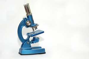 Los microscopios compuestos utilizan dos lentes para aumentar las imágenes.