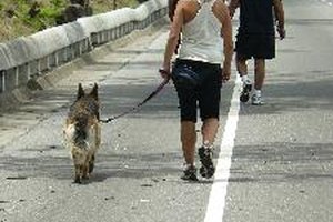 Ir de paseo.