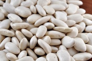Los porotos de riñón blancos son ricos en fibra y lleno de nutrientes.