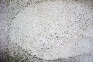 Usa protección respiratoria si sabes que vas a estar trabajando en un área contaminada con moho tal como un sótano.