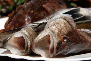 El pescado debería evitarse.