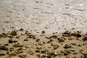 Las rocas y conchas pueden herir o cortar los pies descalzos.