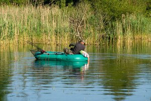 En washington también se pesca lubina.