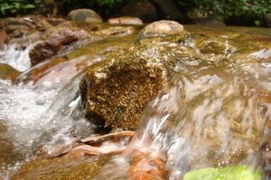 Mezclar todas las aguas significa que los ríos y la agricultura reciben menos agua.