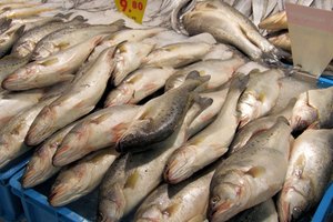 El pescado fresco contiene altos niveles de potasio.