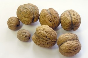 Mantén a la mano nueces por sus propiedades de omega-3.