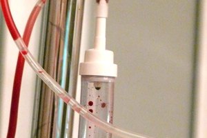 La proteína de la hemoglobina transporta el oxígeno en las células rojas de la sangre.