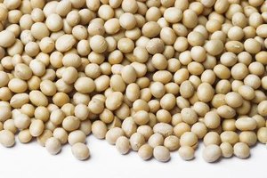 La leche de soja está elaborada a partir de granos de soja.