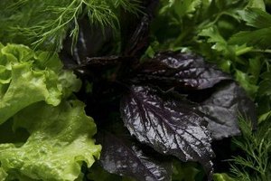 Equilibran la testosterona naturalmente, estimulando al organismo a producir sus propias hormonas.