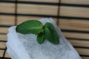 Las bolsitas de té de menta pueden repeler varias plagas.
