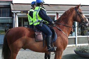 horses police in city image by araraadt from Fotolia.com Police officers need to be able to fully perform their job duties without the interference of their hair.