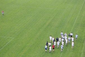 Las tasas de actualización más bajas pueden provocar el desenfoque de la pantalla cuando cuando se ven deportes con movimientos rápidos como el fútbol.