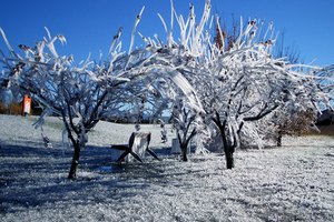 Cambios de clima.