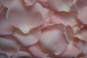 El agua de rosas limpia la piel sensible sin causarle daño.