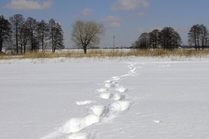 Los meses de invierno a menudo significan un aumento de peso para algunos individuos.