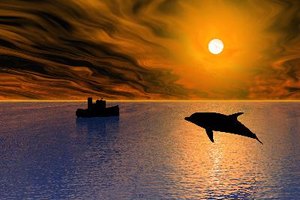 Los delfines tienen una capa aislante de grasa debajo de su piel.