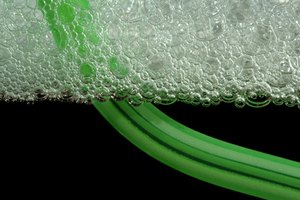 La espirulina mejora la función inmune, promueve el aumento de peso y la lucha contra los radicales libres.